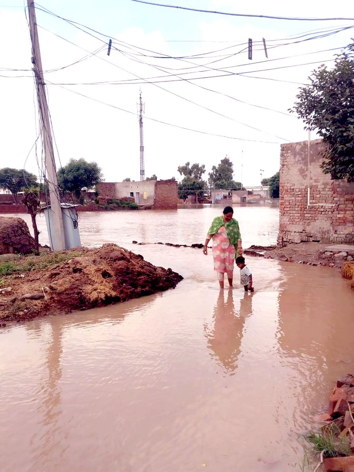 Punjab floods: Power infrastructure hit hard; Rs 102.58 crore loss.